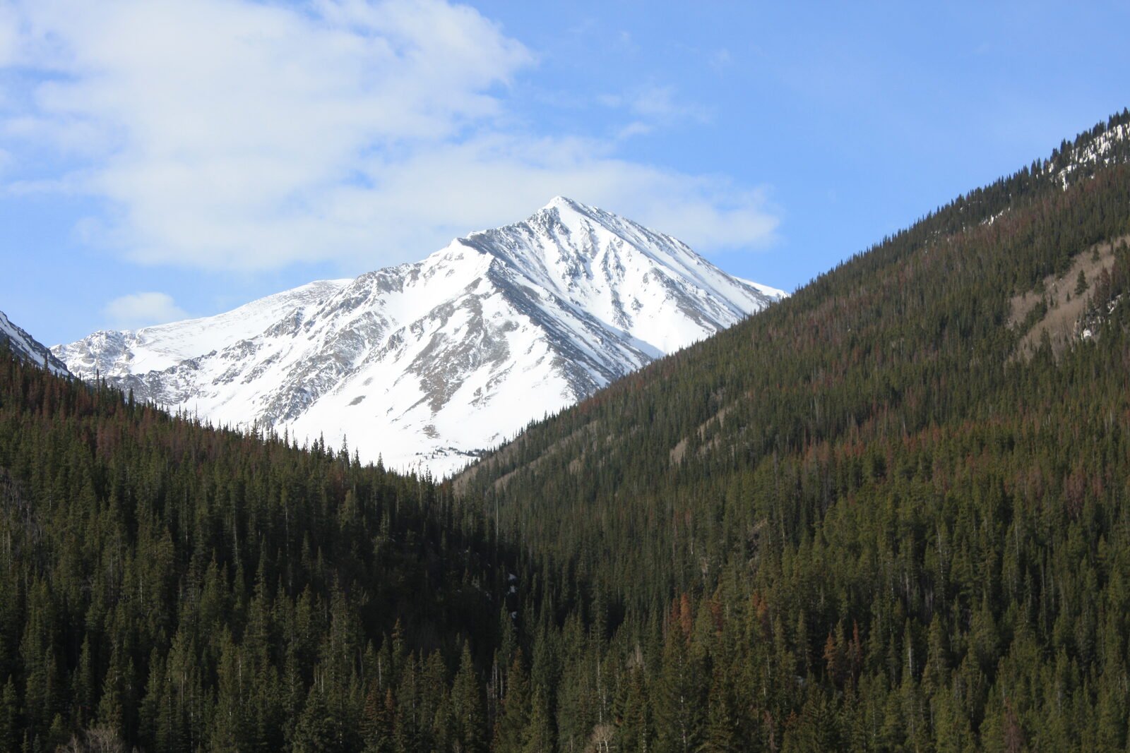Torreys Peak rising above Colorado's high country